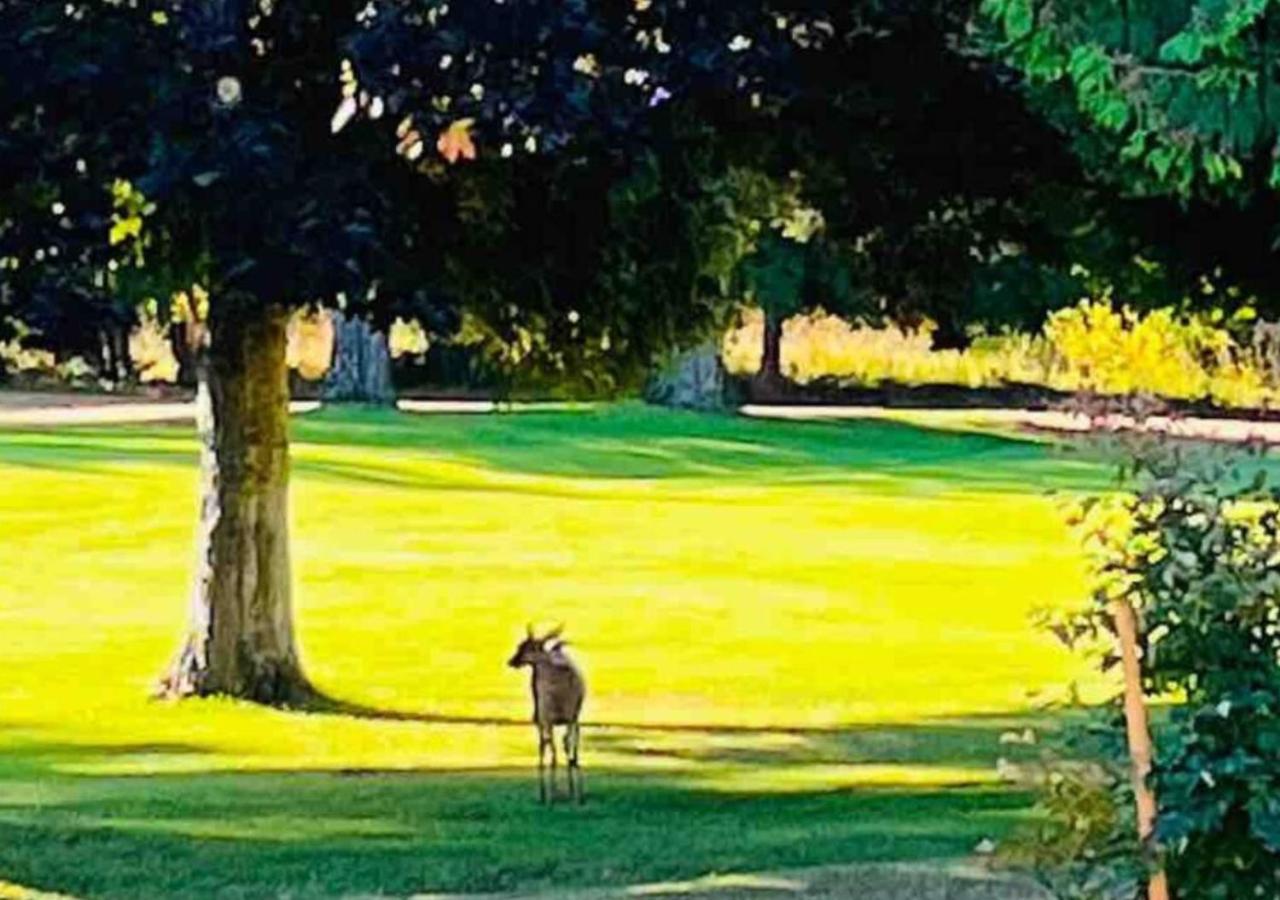 Oceanside Manor - Golf Course View Acomodação com café da manhã Qualicum Beach Exterior foto