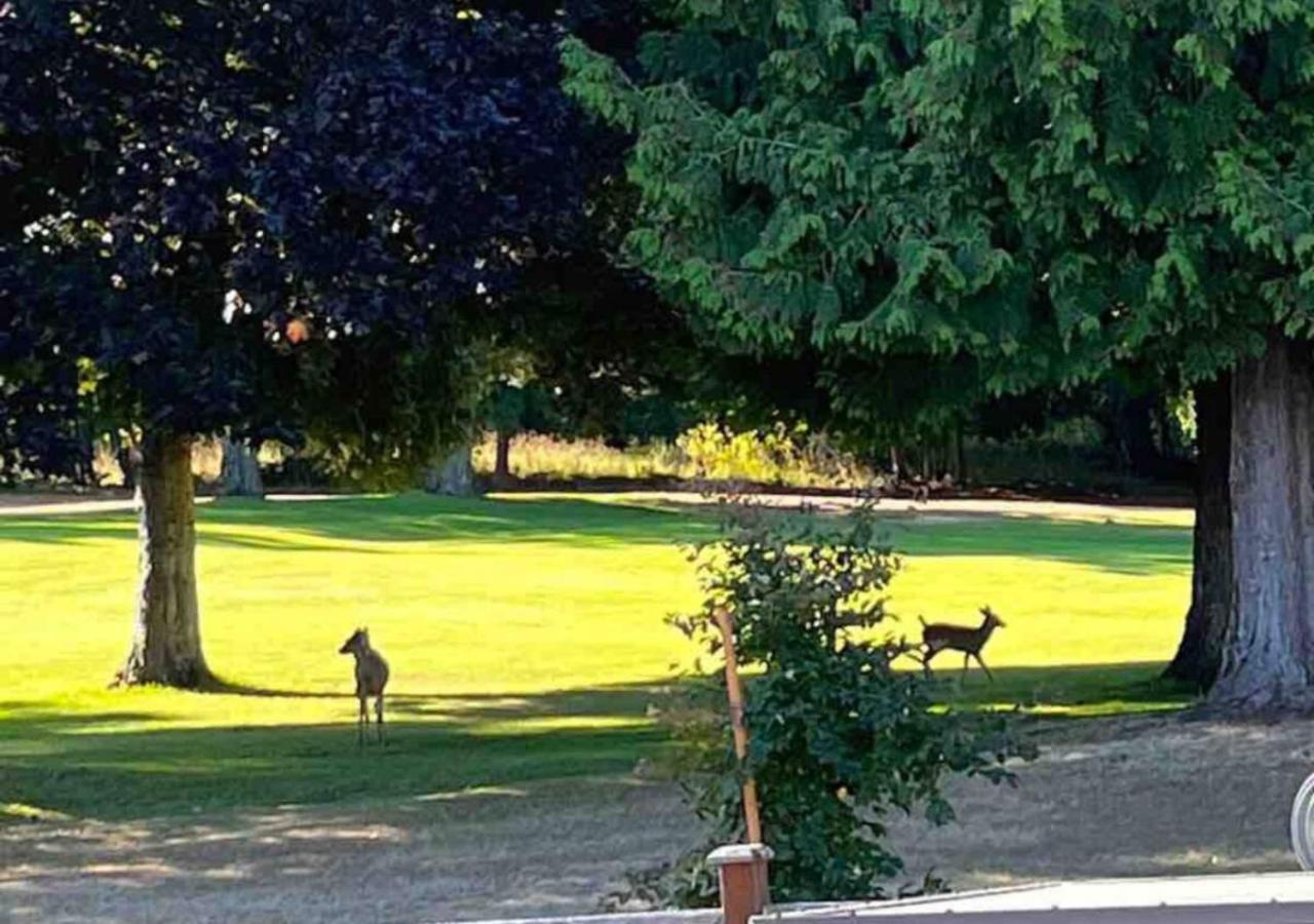 Oceanside Manor - Golf Course View Acomodação com café da manhã Qualicum Beach Exterior foto